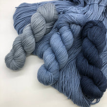 Load image into Gallery viewer, + Fare Evader