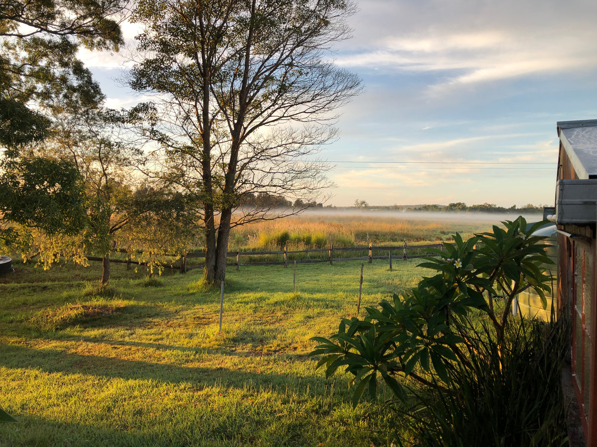 2023 Event Dates Pirate Purl Yarns