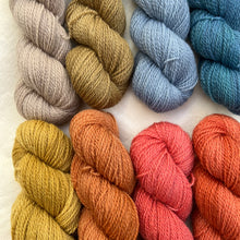 Load image into Gallery viewer, Cutlass Bundle #C (8 x 50g skeins)